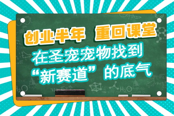35+转行丨放弃铁饭碗，她在圣宠宠物找到新赛道的底气