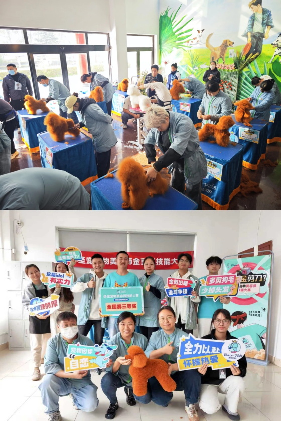 1761896872647255.jpg 0 (1).jpg