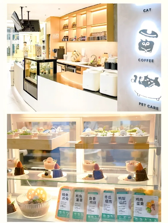 1762415751445971.jpg 640.jpg