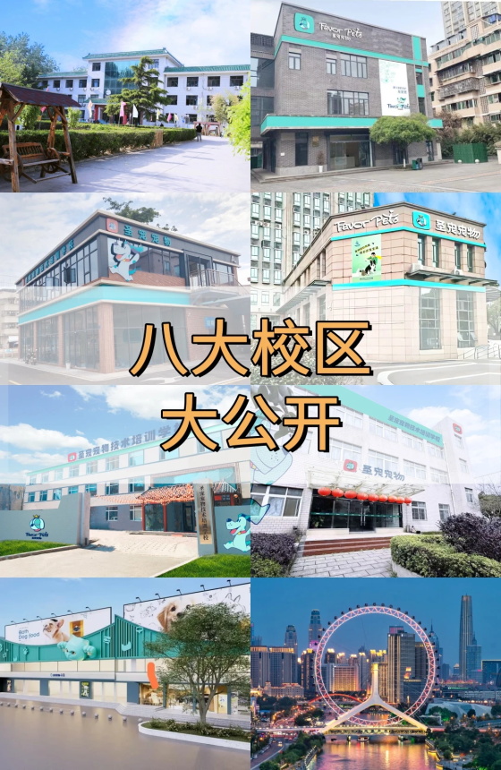 1763024270104586.jpg 0.jpg