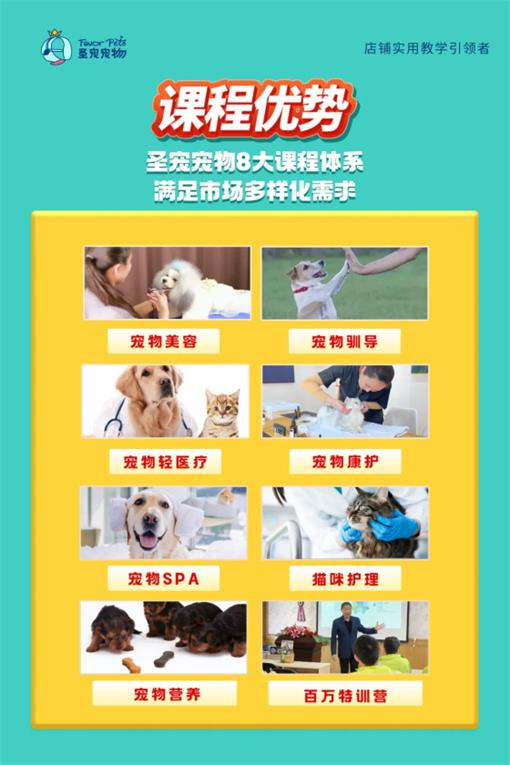 1763539020214731.jpg 640.jpg