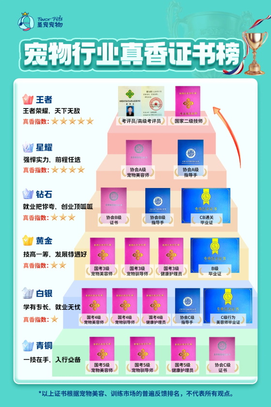 1764063201106265.jpg 0 (1).jpg