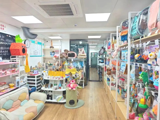 谁说养宠物不能当事业？圣宠宠物加盟商边玩边赚闯出一片天